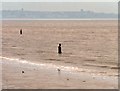 Another Place at Crosby Beach in L23 6BA