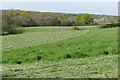 View from the Downside Way near Cobham in KT11 3PB