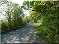 Lane alongside Seven Acre Wood in CO9 2RZ