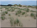 Sand dunes at Witford Point in Baglan Bay Community