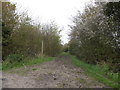 Green Lane Bridleway to Lower Road in IP6 0RU