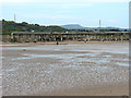 Muddy beach near Witford Point in Baglan Bay Community