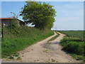 Footpath near Bean Pod Farm, Great Sampford in CB10 2NY