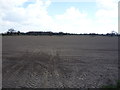 Field off Lowestoft Road in Hopton on Sea