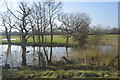 Pond, Marden Meadow Nature Reserve in TN12 9LF