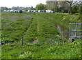Course of the Old River Trent, High Marnham in NG23 7AJ