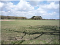 Farmland off Corton Long Lane (B1385) in NR32 5DE