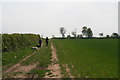 Bridleway from Risby to Skidby in HU16 5TQ