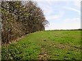 Path along field edge in RH20 3AG