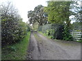 Long Field Path (track) in Oulton