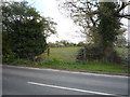 Field entrance off Hall Lane in Oulton
