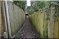 Footpath into Westcott in RH4 3NH