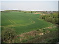 View from a Newcastle-Edinburgh train - farmland near Seaton Burn in NE23 7JD