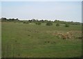 View from a Newcastle-Edinburgh train - farmland near Cramlington in NE23 8ET