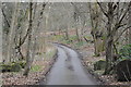 The Greensand Way follows a lane in RH4 3DF
