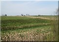 View from a Newcastle-Edinburgh train - farmland near East Stobswood in Widdrington Station and Stobswood