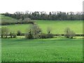 Fields in the Cerne Valley, Charlton Down in DT2 9UD