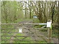 Sign and footpath at Brackett's Coppice in BA22 9QX