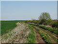 Track to Langwith Junction from Roseland Farm in NG20 8HJ