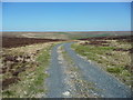 Shooting track, Walshaw Moor, Wadsworth in Wadsworth