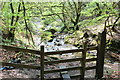 Footpath & stream, Cwm Dows in NP11 3NQ