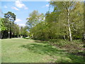 Monken Hadley Common in EN5 5QD