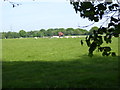 Field of sheep east of footpath in RH10 3XQ
