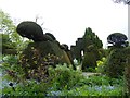 Peacock Topiary at Great Dixter in TN31 6QD