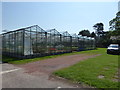 Glasshouses, Follyfield Nursery in CH66 7NB