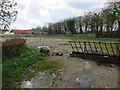 Cleared area by Home Farm in IP25 7PS