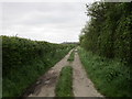 Farm track off South Sea Lane in DN36 4AL
