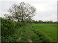 Footpath to Humberston in DN36 4RL