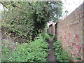 Footpath in Humberston in DN36 4RL