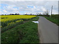 Rape field near Bird's Corner in IP25 7NJ