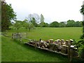 Pile of logs at Pashley Manor in TN19 7AX