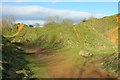 Old quarry workings on Ham Hill in TA14 6SS