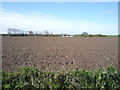 Field off Main Road (A1064) in NR29 3JQ