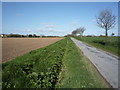 Drain beside Mautby Lane in Mautby