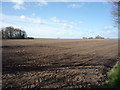 Field off Runham Road in NR29 3EN