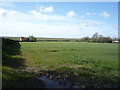 Crop field south of Runham Road in NR29 3EN
