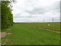 The boundary fence of Stansted Airport in CM24 1QJ