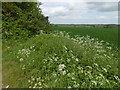 Footpath leading away from The Maltings Broxted in CM6 2EH