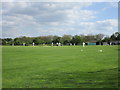 Cricket match at Whatton in the Vale in NG13 9EQ