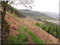 Path descending to Fernhill in Mountain Ash West Community