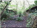 Overgrown deck of bridge across the Aberdare Canal in CF44 0HU