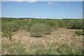Grassland and scrub, Eglinton Country Park in KA11 2DW