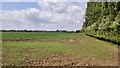 Field near Red Horse Farm in CB23 8YW