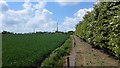Edge of Field near the A428 in CB23 7PH