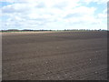 Farmland, Filby Heath in NR29 3JG