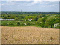 View from Clayton Hill in EN9 2EX